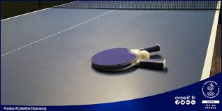 Championnats du monde de tennis de table. Tennis De Table Championnats D Europe U21 Cros Ile De France