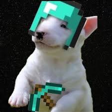 1080x1080 gamerpic pixels gamerpics 1080x1080 funny 1080x1080 gamerpic anime tryhard open portal media 4) every image or gallery must be formatted at 1080x1080 pixels, and hosted on imgur. Privado Results