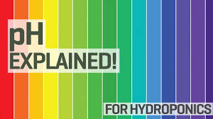 Ph For Hydroponics 101