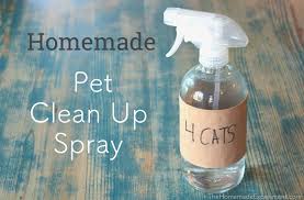 How to make a diy essential oil dog spray. How To Make Homemade Pet Stain Odor Spray