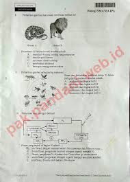We did not find results for: Download Soal Un Biologi Sma Tahun Pelajaran 2014 2015 Paket Soal 2 Blog Pak Pandani