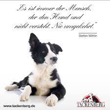 Die beste bildung findet ein gescheiter mensch auf reisen. Pin Auf Spruche