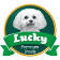 Lucky Premium Treats – Covid-19 Essential Business Actively Hiring