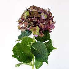 Our florists are number one in newark. Jrose