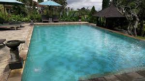 Piscine Douche Et Salon Lecture Foto Sanda Butik Villas Pupuan Tripadvisor