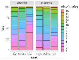 Image result for Musanga leo-errerae