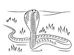 Connect the dots and coloring page. King Cobra Passing Through Grass Coloring Pages Kids Play Color