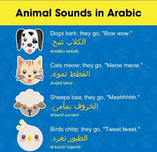 Pin By Rabia On Arabic Vocabulary Animal Sounds Cats Meow Dog Barking