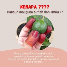 Apabila daun pacar sudah halus, berikanlah pada kuku anda. Inai Damia Melaka Posts Facebook