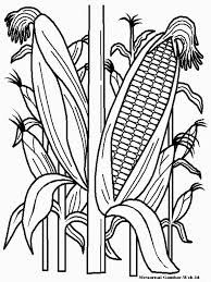 Apakah anda mencari gambar tentang mewarnai gambar jagung . Detail Mewarnai Gambar Jagung Mewarnai Gambar