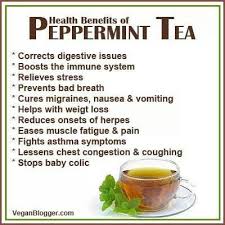 Health Benefits Of Peppermint Tea Good Thing I Drink This Stuff Like Water Peppermint Tea Benefits Tea Health Benefits Coconut Health Benefits