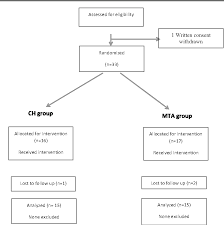 figure 1 from mta versus ca oh 2 in apexification of non