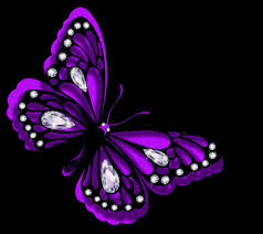 Black And Purple Butterfly Purple Butterfly With Diamonds Purple Butterfly Purple Purple Love