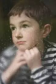 Search Results For Striped Turtle