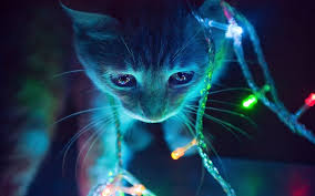 48 Cute 3d Wallpaper On Wallpapersafari Customize your desktop, mobile phone and tablet with our wide variety of cool and interesting 3d wallpapers in just a few clicks! 48 cute 3d wallpaper on wallpapersafari