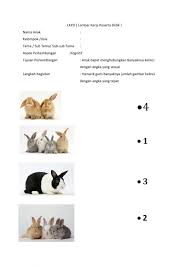 These are indicated with a. Tk Interactive Worksheet