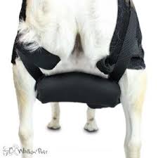 The stability and support offered by the duvet help reduce inflammation and there are lots of braces which can found in the market. Walkin Hip Eez Support For Hip Problems In Dogs Dog Hip Brace