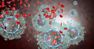 How Can A Virus Cause Cancer Ctca