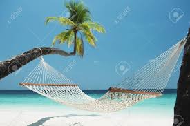 Summer palm tree hammock relax sun sand beach ocean nature exotic island resort surf element travel design logo svg png clipart vector cut expertoutfit. Beach Hammock Between Two Palm Trees On The Maldives Stock Photo Picture And Royalty Free Image Image 85213138