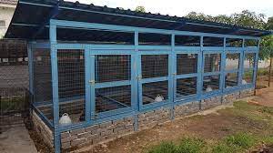 Reban ayam opah enterprise, temerloh. Reban Ayam Projek Besi Biru Facebook
