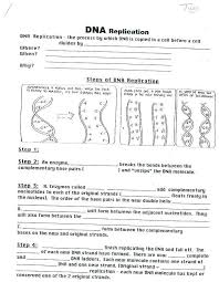 Transcription And Translation Practice Worksheet Biology Corner Dna Coloring Tr In 2020 Transcription And Translation Dna Replication Dna Transcription And Translation