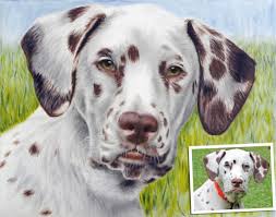 Illustrationen und portraits von hunden nach fotovorlage. Tierportrait Nach Fotovorlage Portraitmaler Pabst