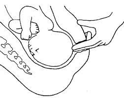 Check spelling or type a new query. Your Special Baby Real Lamaze Prepared Childbirth
