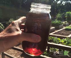 liquid vermicompost fertilizers ile ilgili gÃ¶rsel sonucu