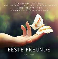 Beste Freunde Spruche 20 Beruhrende Und Lustige Bilder