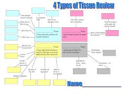 connective tissue types google tissue types cell