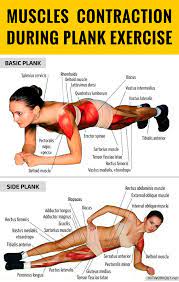 As we move from plank pose to chaturanga (low plank) to upward facing dog, we place tremendous strain through our joints if they are not lined up properly. An Good Reach The Muscles Around Your Shoulders Shoulder Blades And Collar Bones Hamstrings Archways By Plank Workout Gym Workout Tips Collar Bone Workout
