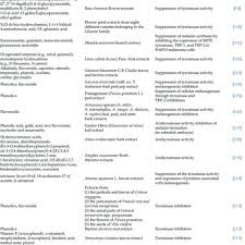 Image result for Melasma calycinum
