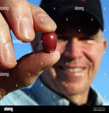 Warren haines hi-res stock photography and images