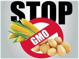 Ogm is listed in the world's largest and most authoritative dictionary database of abbreviations and acronyms. Bienvenue Sur Stop Ogm Pacifique Stop Ogm Pacifique