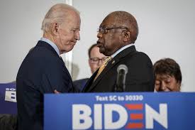Image result for Bidens buchneri