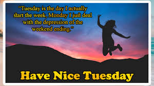 15+ funny quotes about tuesday: Quotes Of The Day Tuesday Quotes Positive Happy And Terrific Quotes