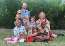 We are a small family breeder of goldendoodles and golden retrievers in mesa, az. Arizona Goldendoodles English Doodles And Cavapoos At Az Doodle Ranch Home