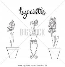 We did not find results for: Vector Drawing Vector Photo Free Trial Bigstock