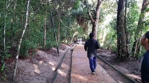 Check spelling or type a new query. Hiking Taman Negara Pulau Pinang Pantai Kerachut
