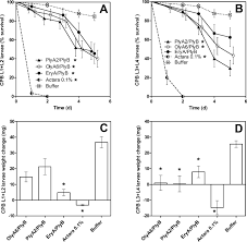 Check spelling or type a new query. Pore Forming Protein Complexes From Pleurotus Mushrooms Kill Western Corn Rootworm And Colorado Potato Beetle Through Targeting Membrane Ceramide Phosphoethanolamine Scientific Reports