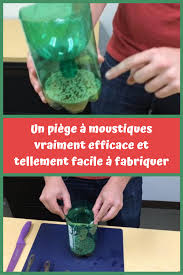 Un Piege A Moustiques Vraiment Efficace Et Tellement Facile A Fabriquer Recettes Du Net En 2020 Piege A Moustiques Moustique Bricolage Utile Et Facile