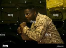 Image result for Medium Brown 2018 Fleet