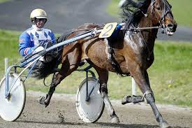 The pps are powered by brisnet. Free Harness Racing Programs With Past Performances