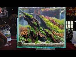 Nano Aquascape Quick Scape Cianjur Aquascape Contes Youtube Aquarium Landscape Aquascape Aquarium Aquascape