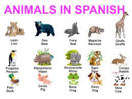 If you want to know how to say giraffe in spanish, you will find the translation here. Names Of Animals In Spanish Spanish To English Translation