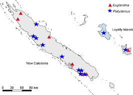 Borneo group adalah perusahaan swasta nasional yang telah berdiri sejak tahun 2005, yang bergerak di bidang pt. Negative Impacts Of Invasive Predators Used As Biological Control Agents Against The Pest Snail Lissachatina Fulica The Snail Euglandina Rosea And The Flatworm Platydemus Manokwari Springerlink