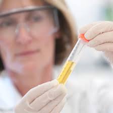 Wake Forest Institute for Regenerative Medicine (WFIRM)