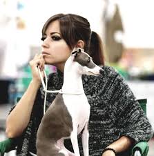 Evidence of their remains has been found in egyptian tombs and drawings of the breed were found in the ruins of pompeii. Macabre Italian Greyhounds Home