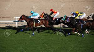 Résultat de recherche d'images pour "image de l'hippodrome des chevaux de la course"