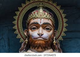 Monkey Warrior: Over 945 Royalty-Free Licensable Stock Photos